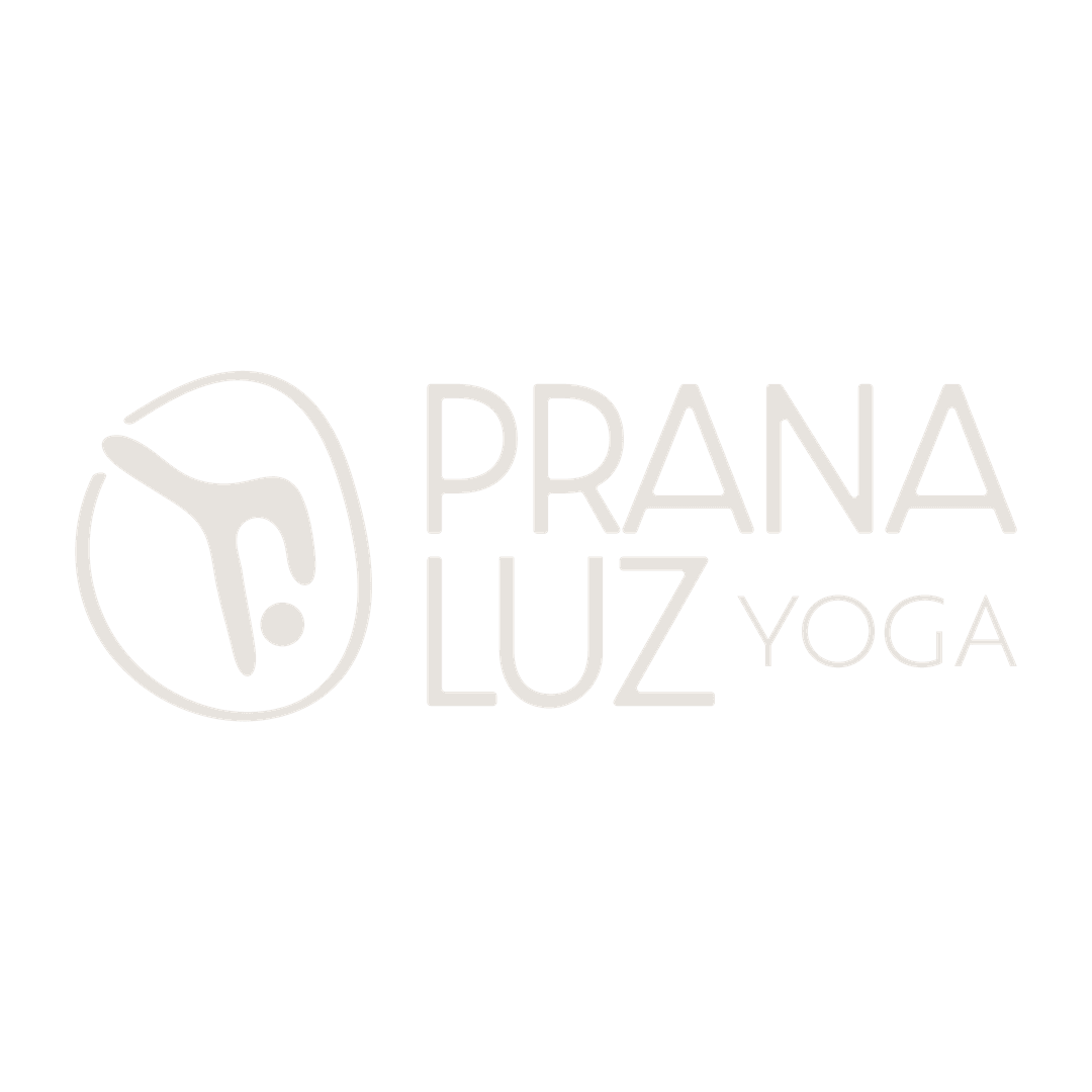 Logo Ana Luz